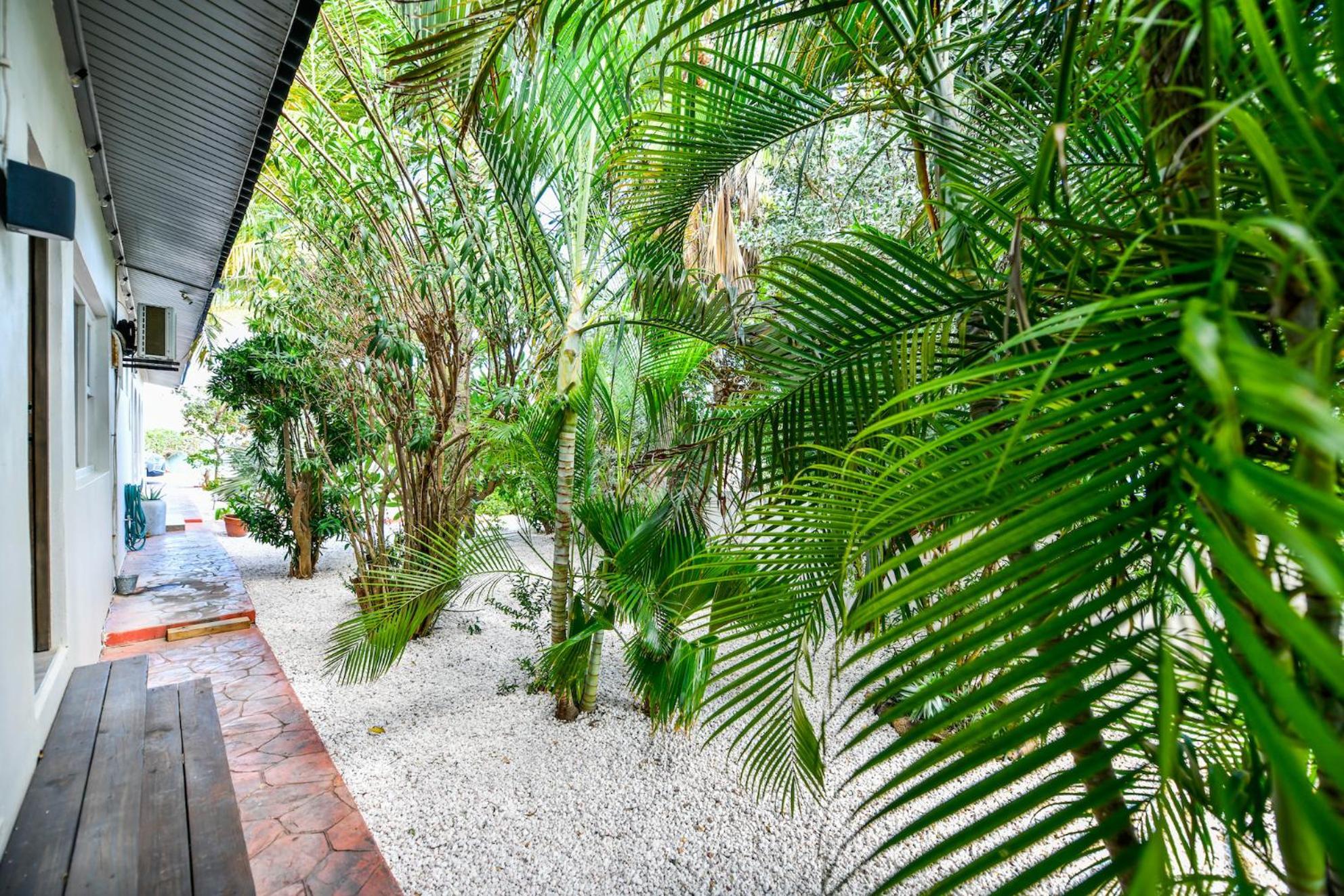 Aloe B&B Oranjestad Luaran gambar